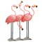 zinc flyte flamingo